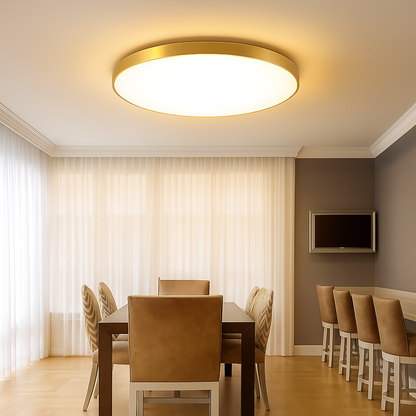 Modern Round LED Ceiling Light Fixture