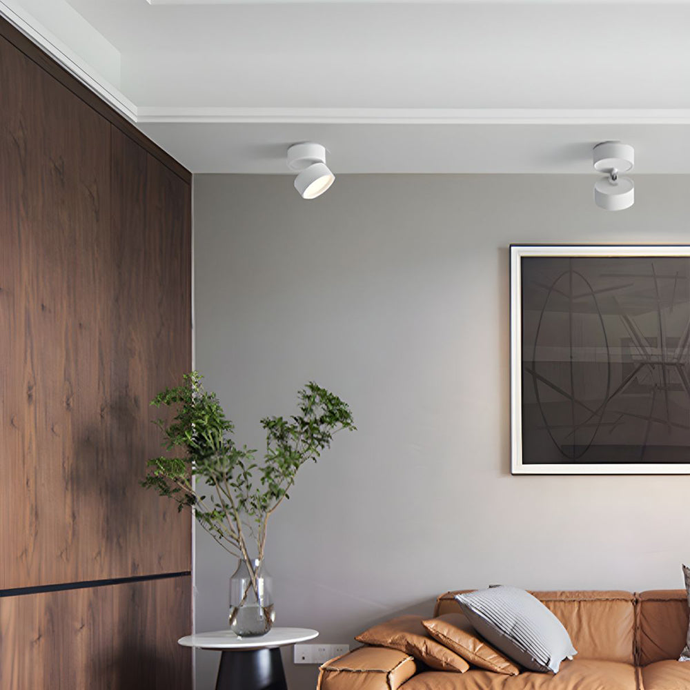 Contemporary Mini Surface-Mounted Adjustable Ceiling Light Fixture for Modern Interiors and Versatile Lighting Solutions