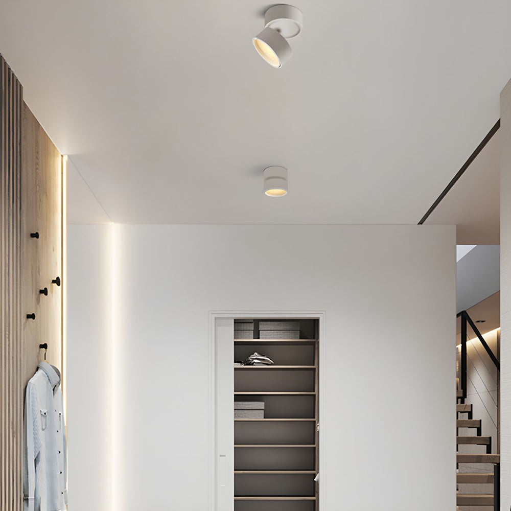 Contemporary Mini Surface-Mounted Adjustable Ceiling Light Fixture for Modern Interiors and Versatile Lighting Solutions