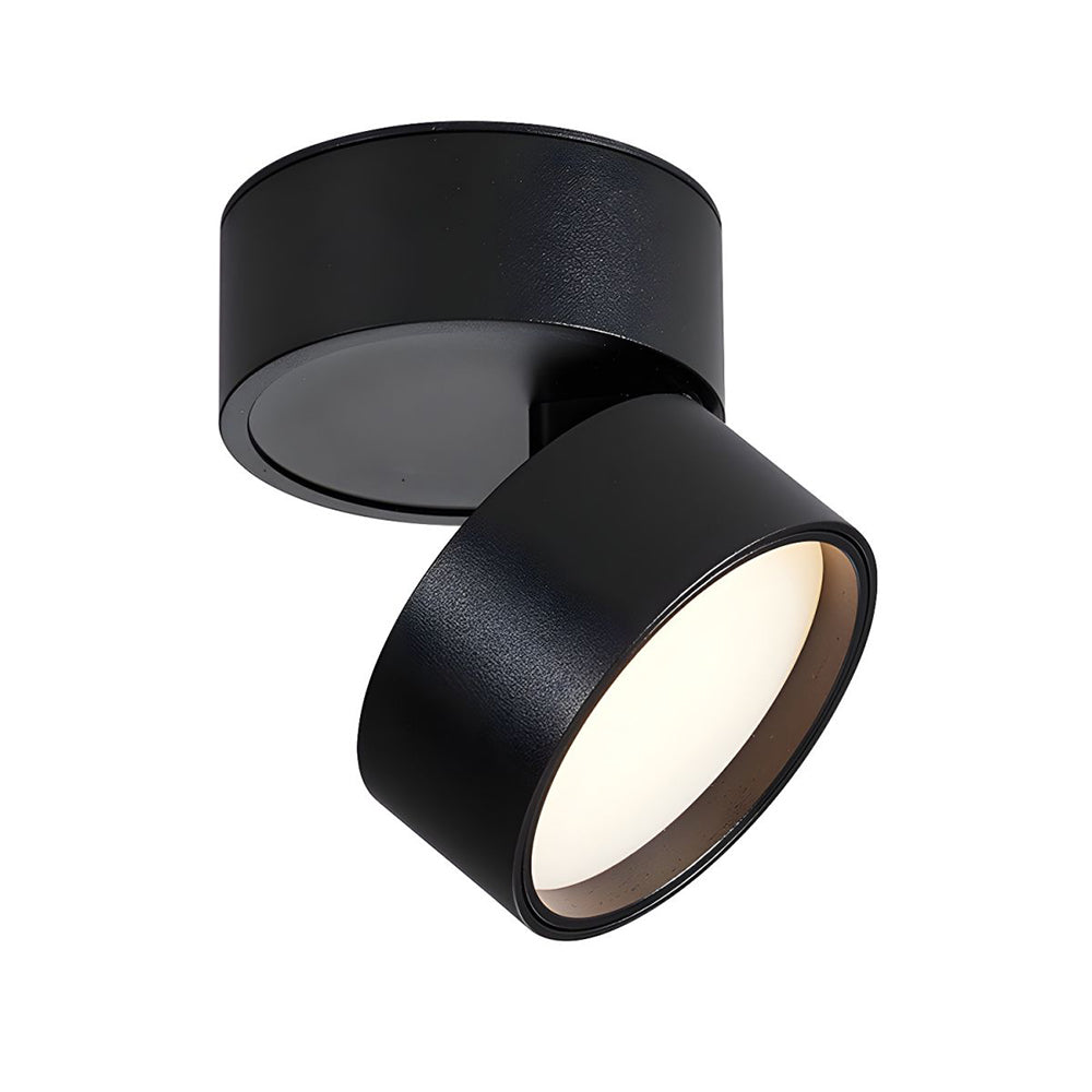 Contemporary Mini Surface-Mounted Adjustable Ceiling Light Fixture for Modern Interiors and Versatile Lighting Solutions