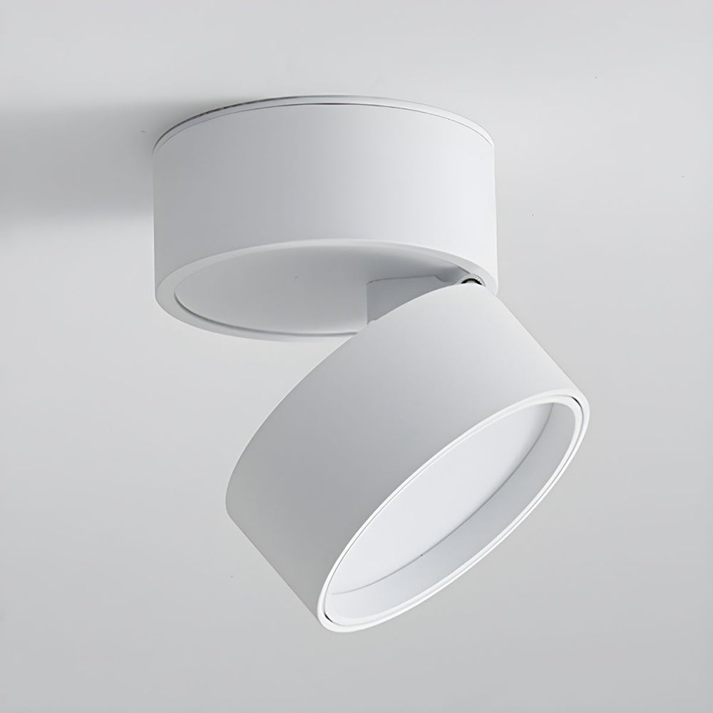 Contemporary Mini Surface-Mounted Adjustable Ceiling Light Fixture for Modern Interiors and Versatile Lighting Solutions