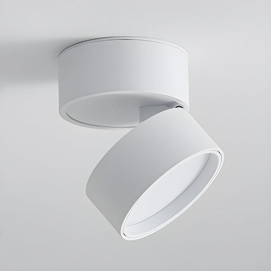 LED Ceiling Light with Adjustable Spotlight Head