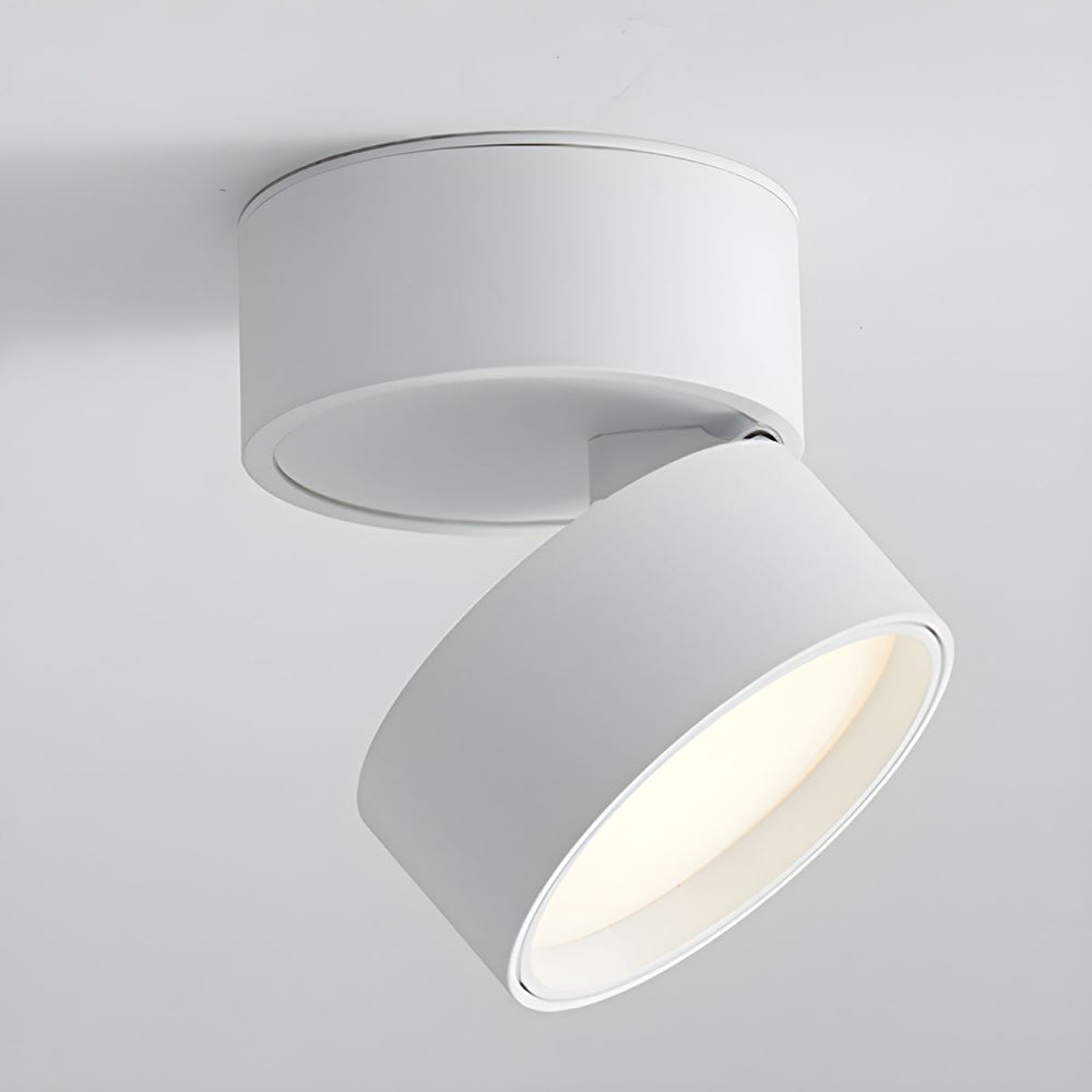 Contemporary Mini Surface-Mounted Adjustable Ceiling Light Fixture for Modern Interiors and Versatile Lighting Solutions