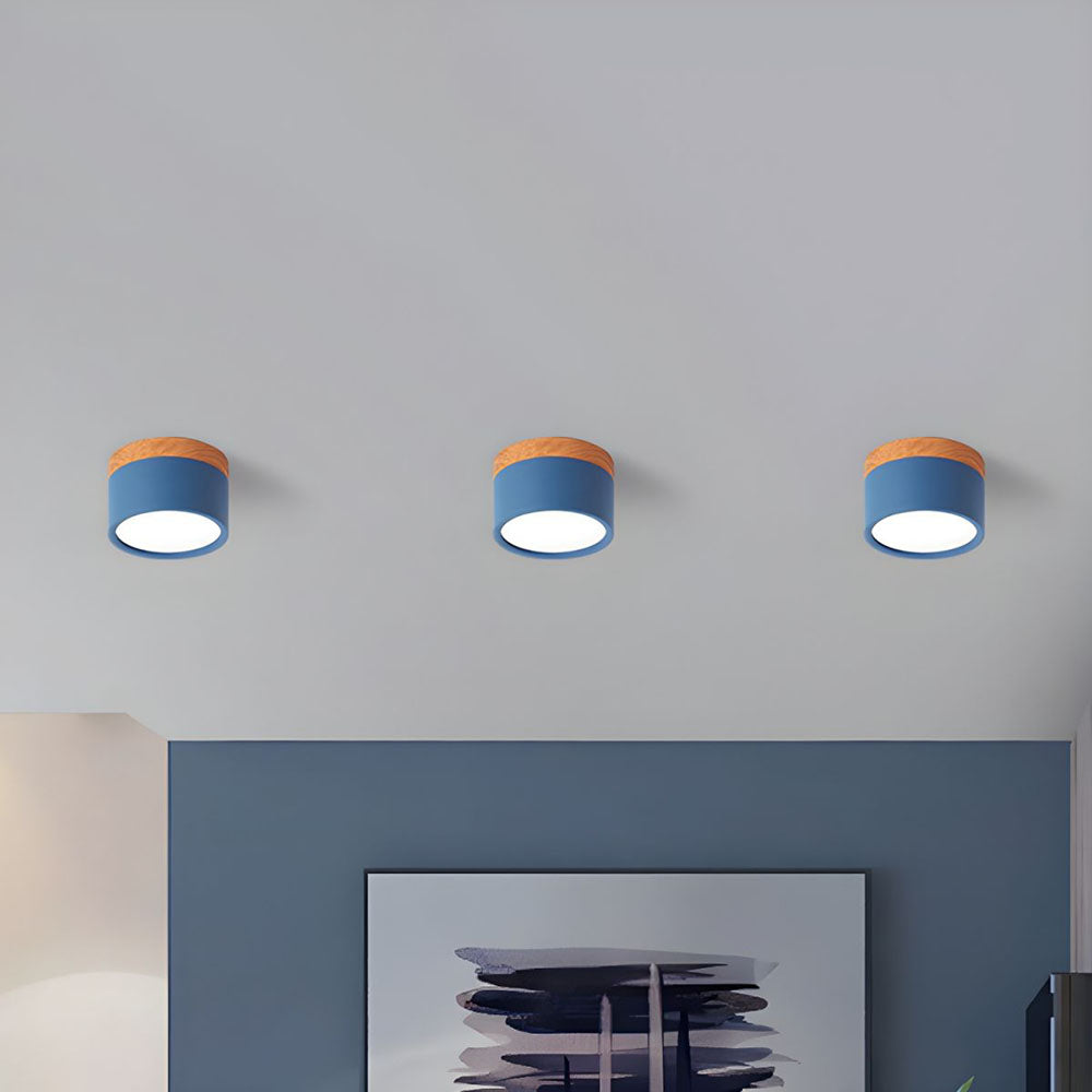 Compact Cylinder Flush Ceiling Lights for Stylish Illumination in Small Spaces – Modern Design and Energy Efficient