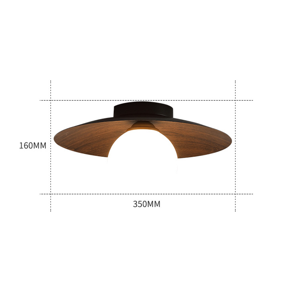 Sleek Modern Minimalist Ceiling Lights for Entrances – Stylish Illumination for Contemporary Hallways and Foyers