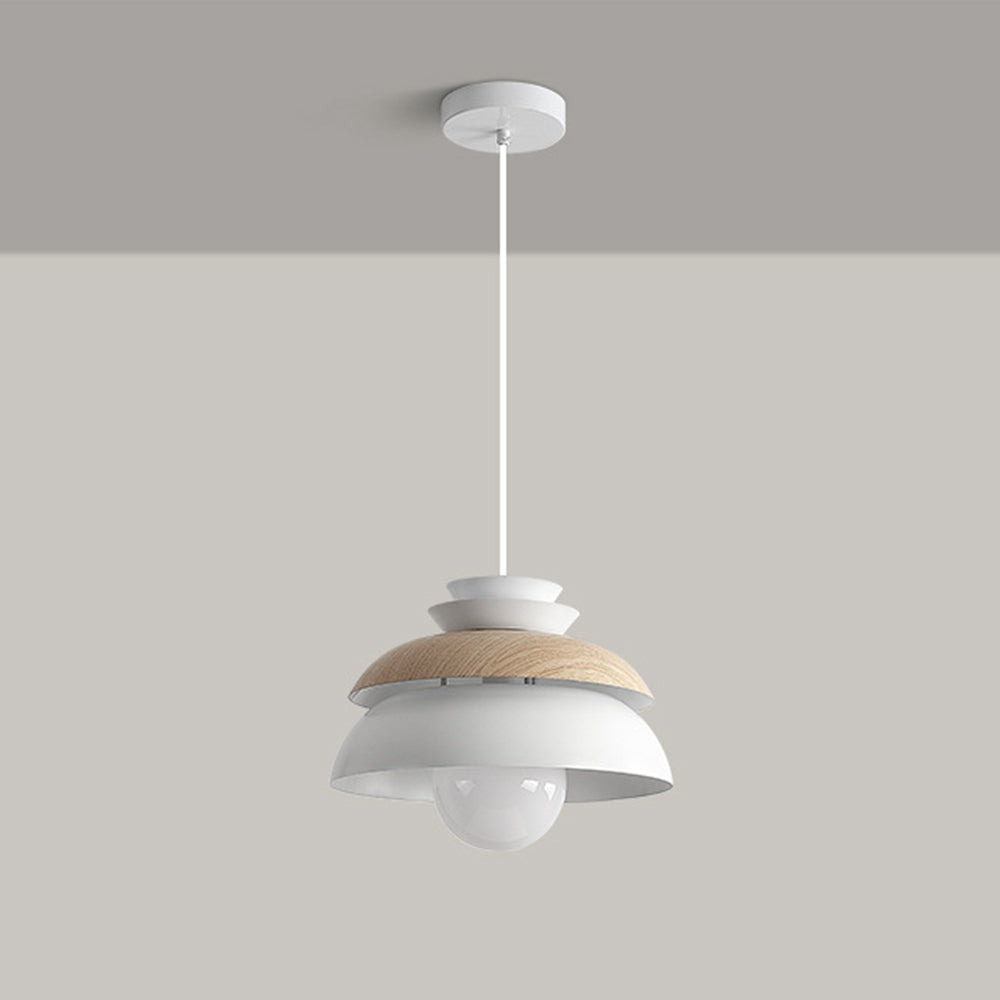 Contemporary Dome-Shaped Metal Pendant Light Fixture for Stylish Home Illumination and Modern Interior Decor