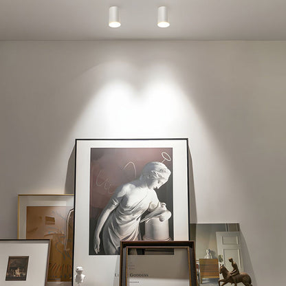 Plafonnier Moderne en Aluminium LED Downlight