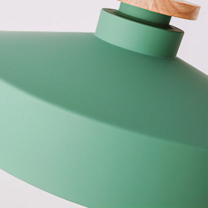 Pendant Light in Colourful Metal Finish