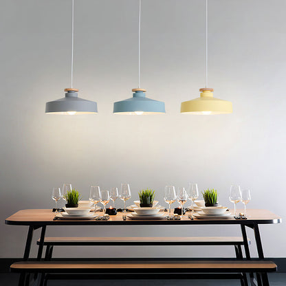 Pendant Light in Colourful Metal Finish