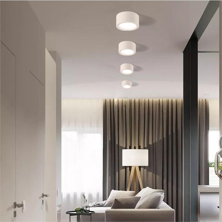 Scandi Chic Indoor Flush Ceiling Lights in Modern Nordic Design for Elegant Home Illumination and Stylish Décor