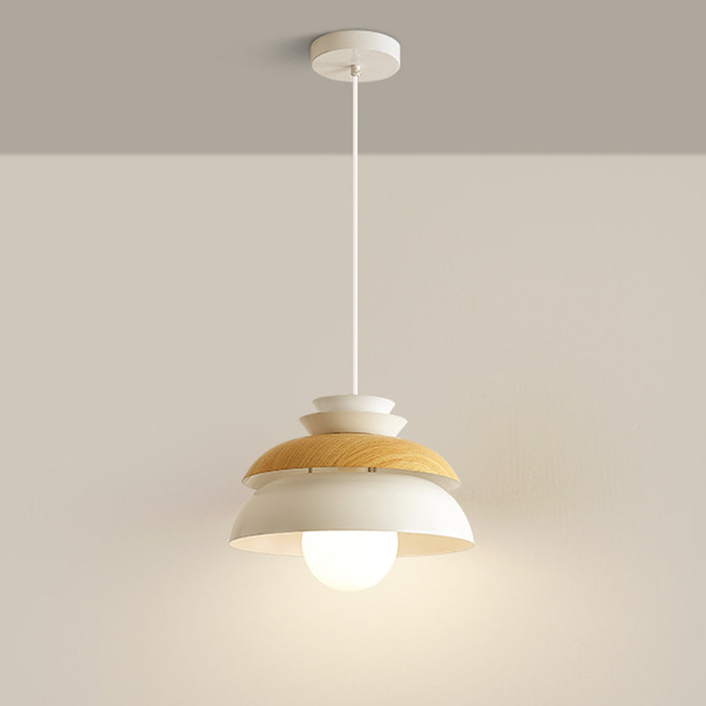 Contemporary Dome-Shaped Metal Pendant Light Fixture for Stylish Home Illumination and Modern Interior Decor