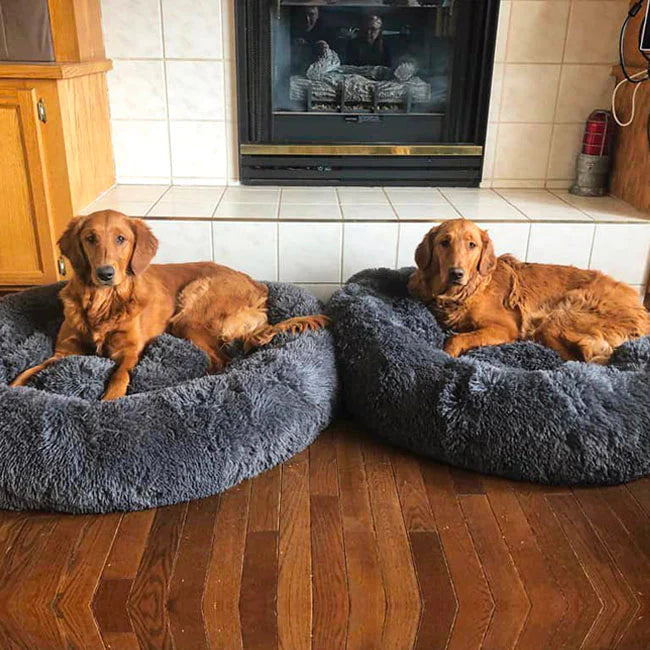 Orthopädisches Plüsch-Donut-Hundebett
