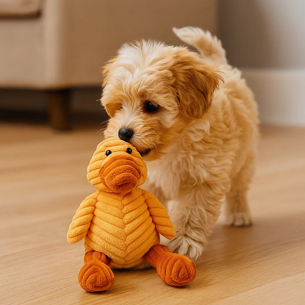 Giocattolo per cane in peluche con squeaky da masticare animale