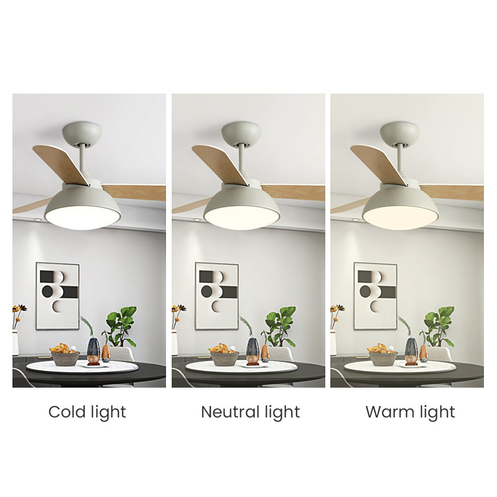 Nordic Modern Simple Flush Ceiling Fan with Integrated LED Lighting for Stylish Home Comfort and Energy Efficiency