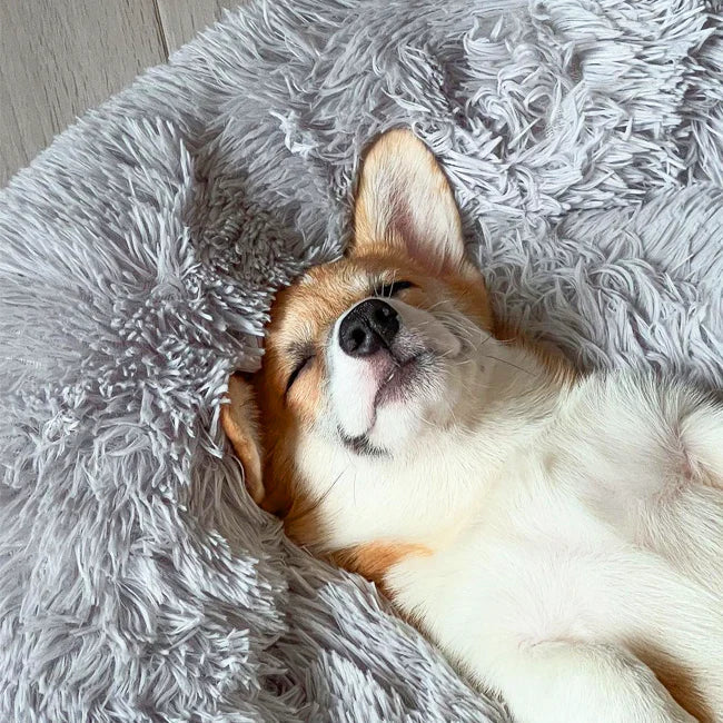 Lit orthopédique en peluche en forme de beignet pour chien