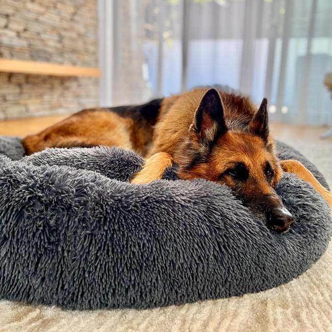 Orthopädisches Plüsch-Donut-Hundebett