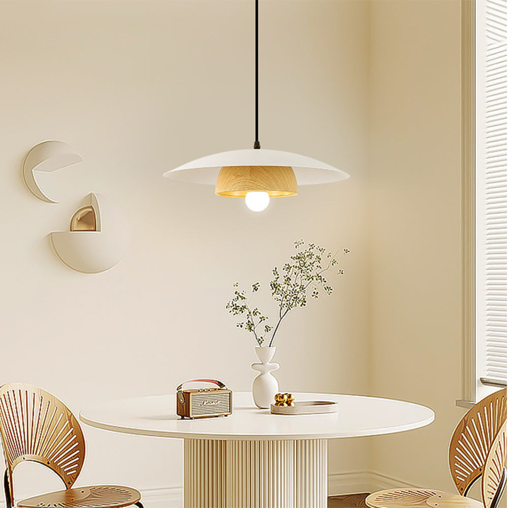 Contemporary Dome-Shaped Metal Pendant Light Fixture for Stylish Home Illumination and Modern Interior Decor