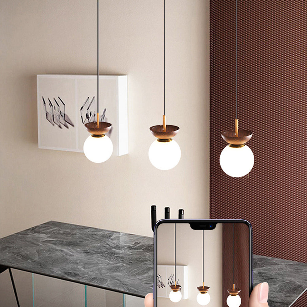 Elegant Decorative Glass Pendant Light Fixture for Stylish Home Interiors and Ambient Lighting Solutions