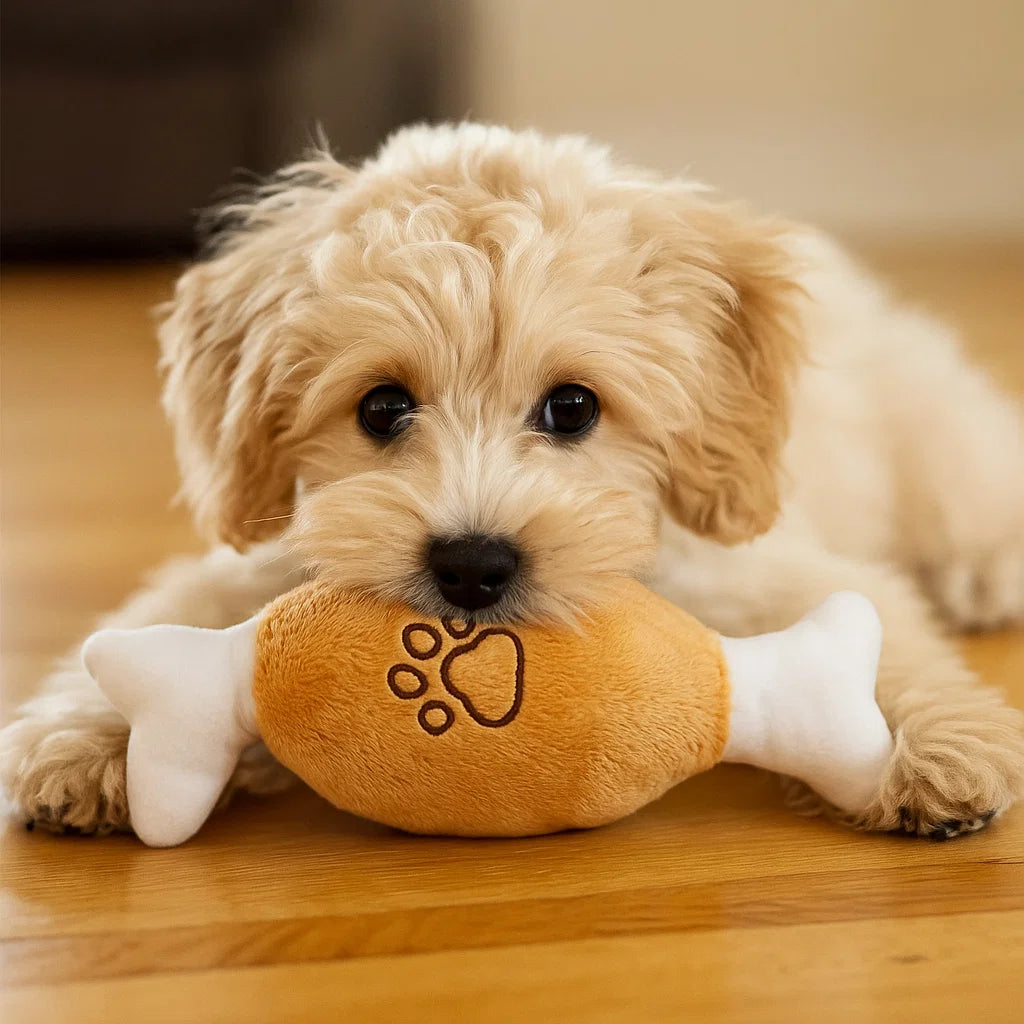 Giocattolo per cane in peluche con squeaky da masticare animale