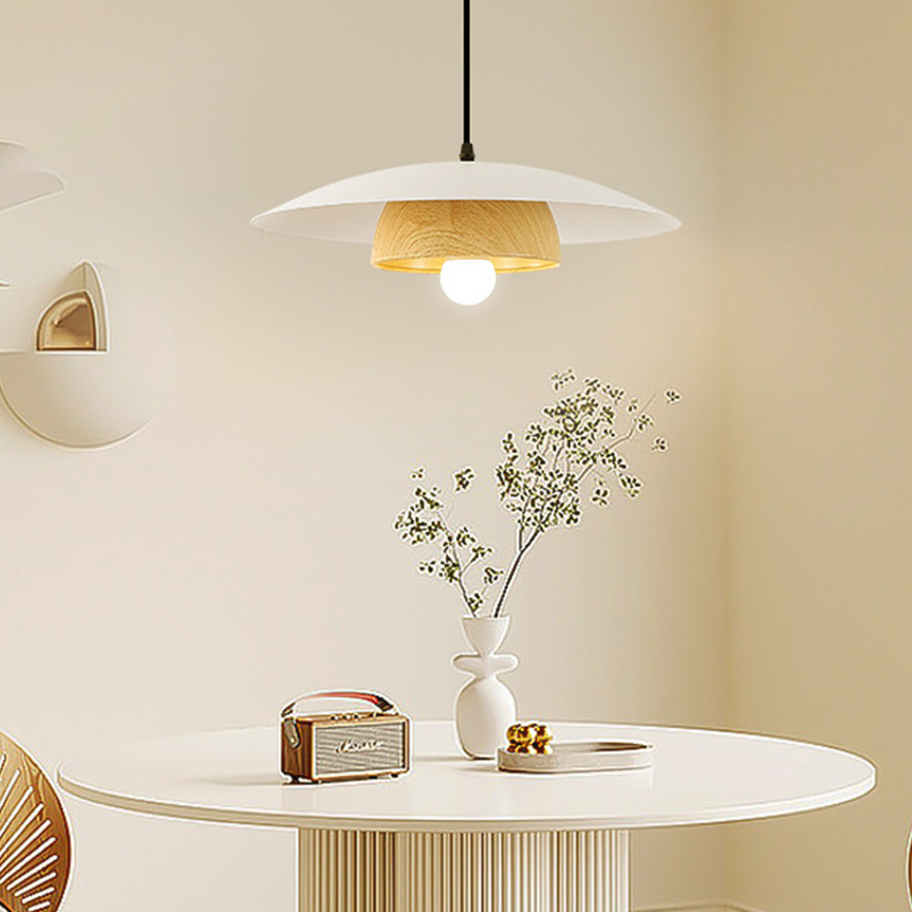 Contemporary Dome-Shaped Metal Pendant Light Fixture for Stylish Home Illumination and Modern Interior Decor