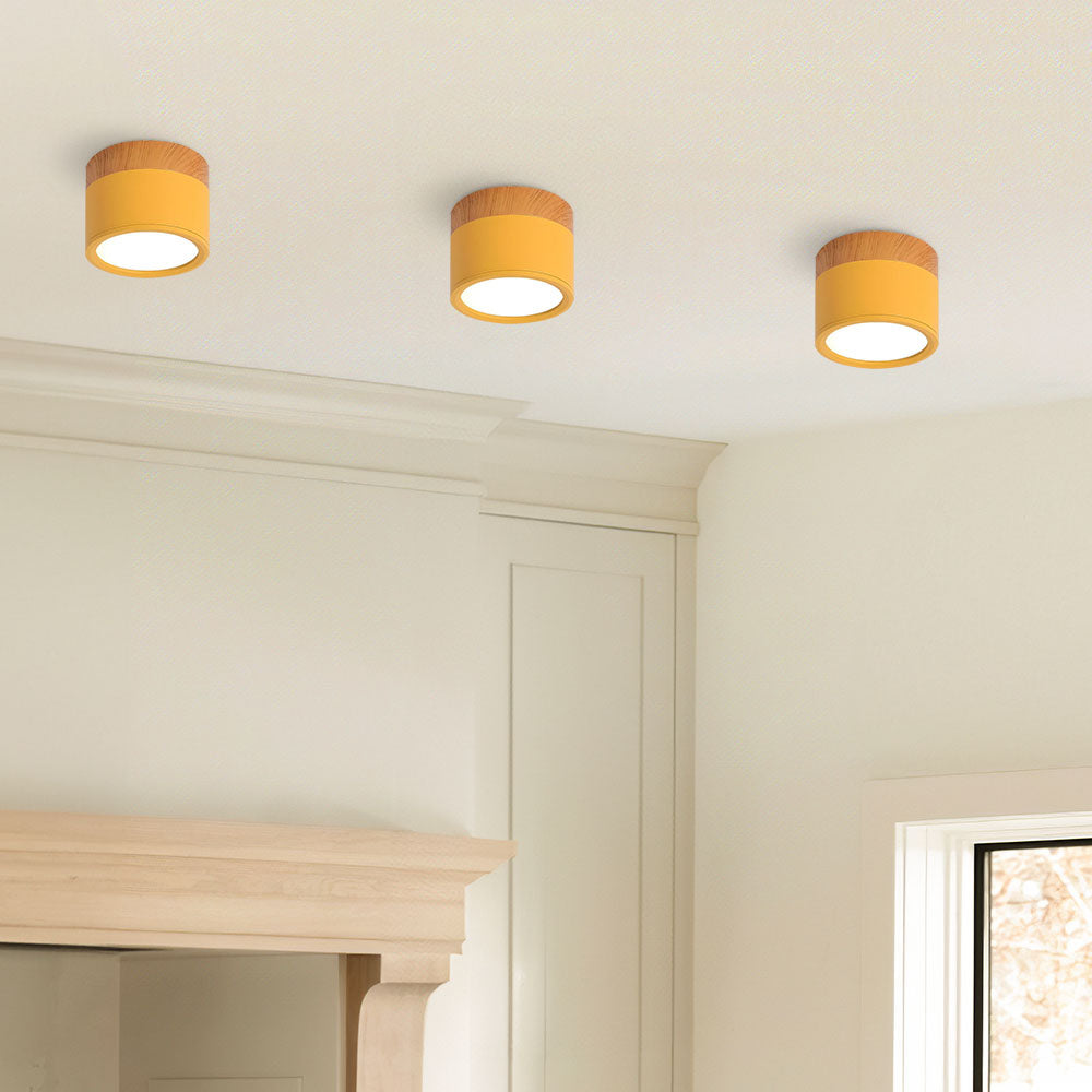 Compact Cylinder Flush Ceiling Lights for Stylish Illumination in Small Spaces – Modern Design and Energy Efficient