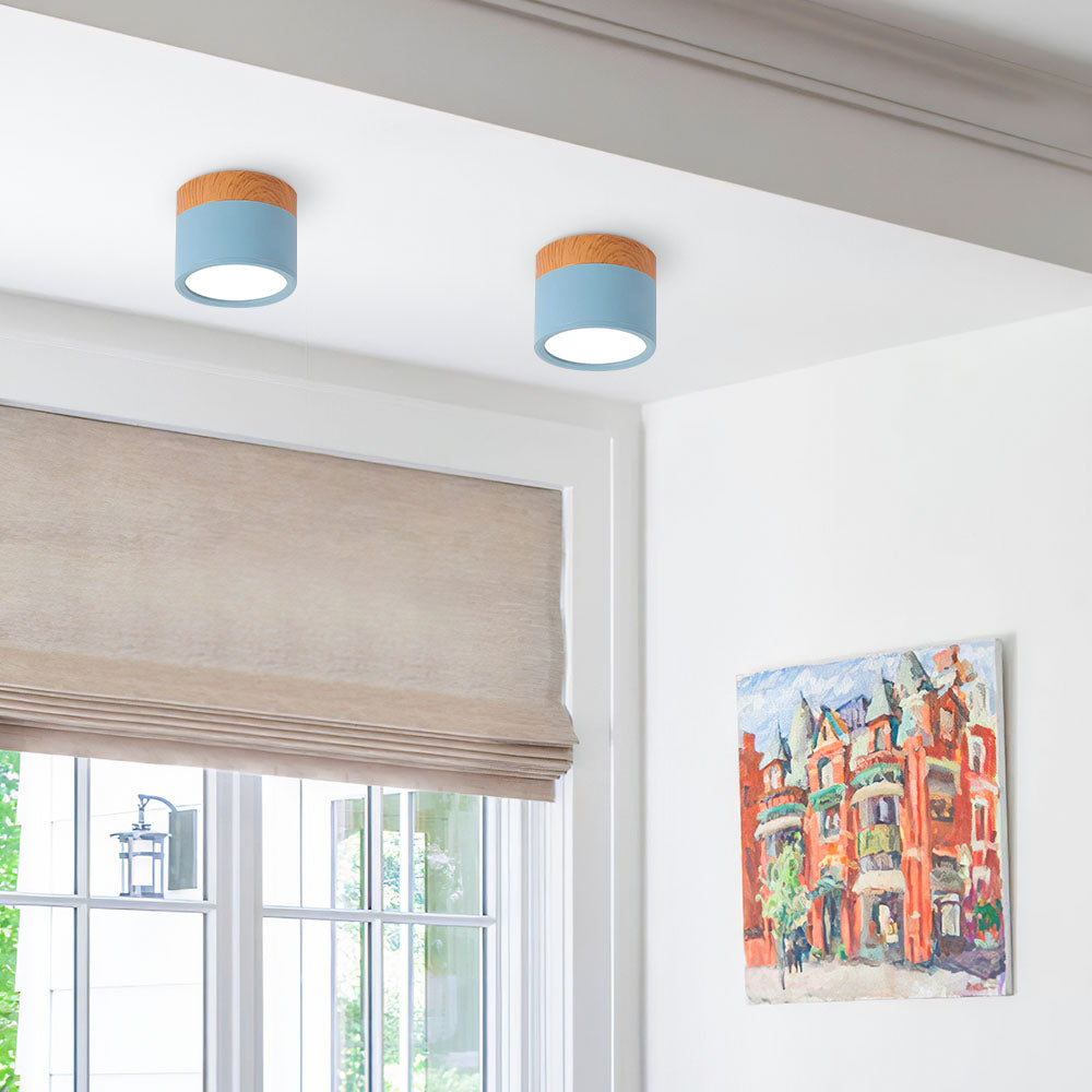 Compact Cylinder Flush Ceiling Lights for Stylish Illumination in Small Spaces – Modern Design and Energy Efficient