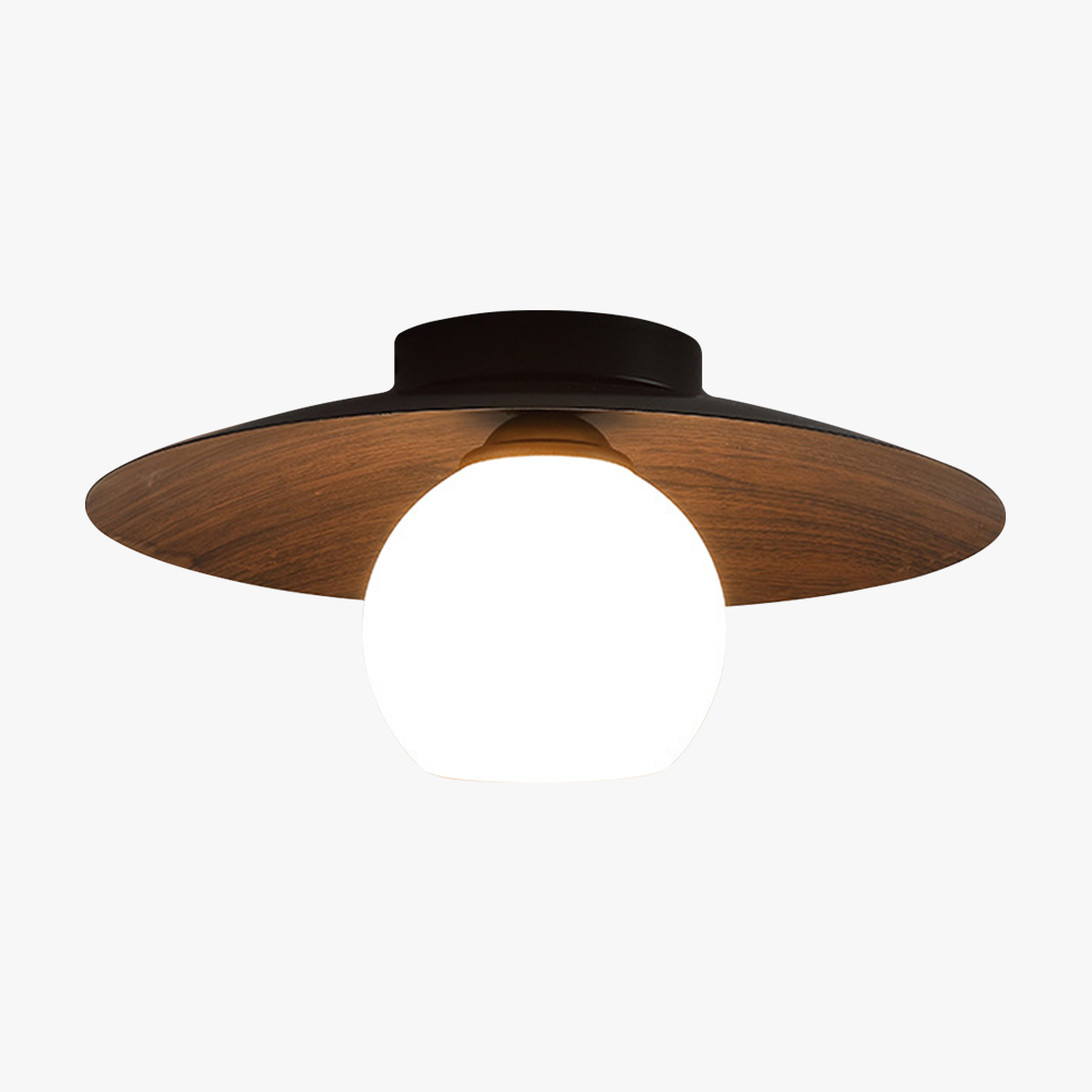 Sleek Modern Minimalist Ceiling Lights for Entrances – Stylish Illumination for Contemporary Hallways and Foyers