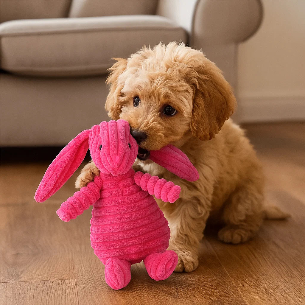 Giocattolo per cane in peluche con squeaky da masticare animale