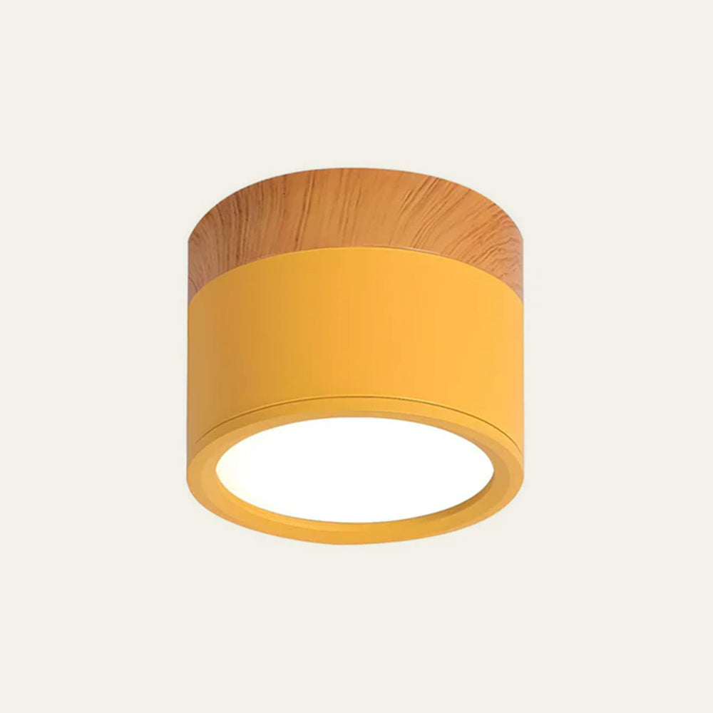 LED Ceiling Light Modern Flush Mount Cylinder