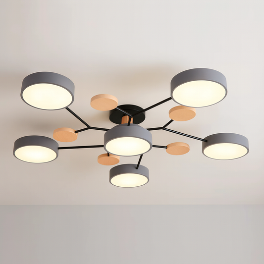 LED Modern Ceiling Light Fixture