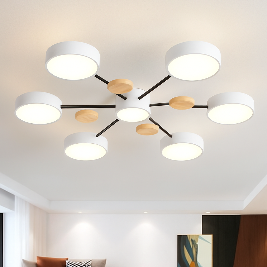 LED Modern Ceiling Light Fixture