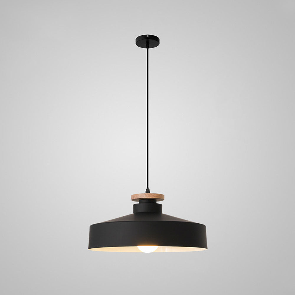 Pendant Light in Colourful Metal Finish