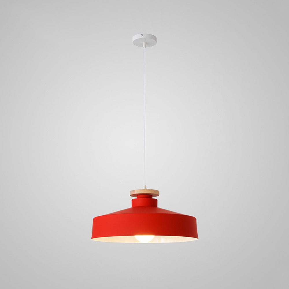 Pendant Light in Colourful Metal Finish