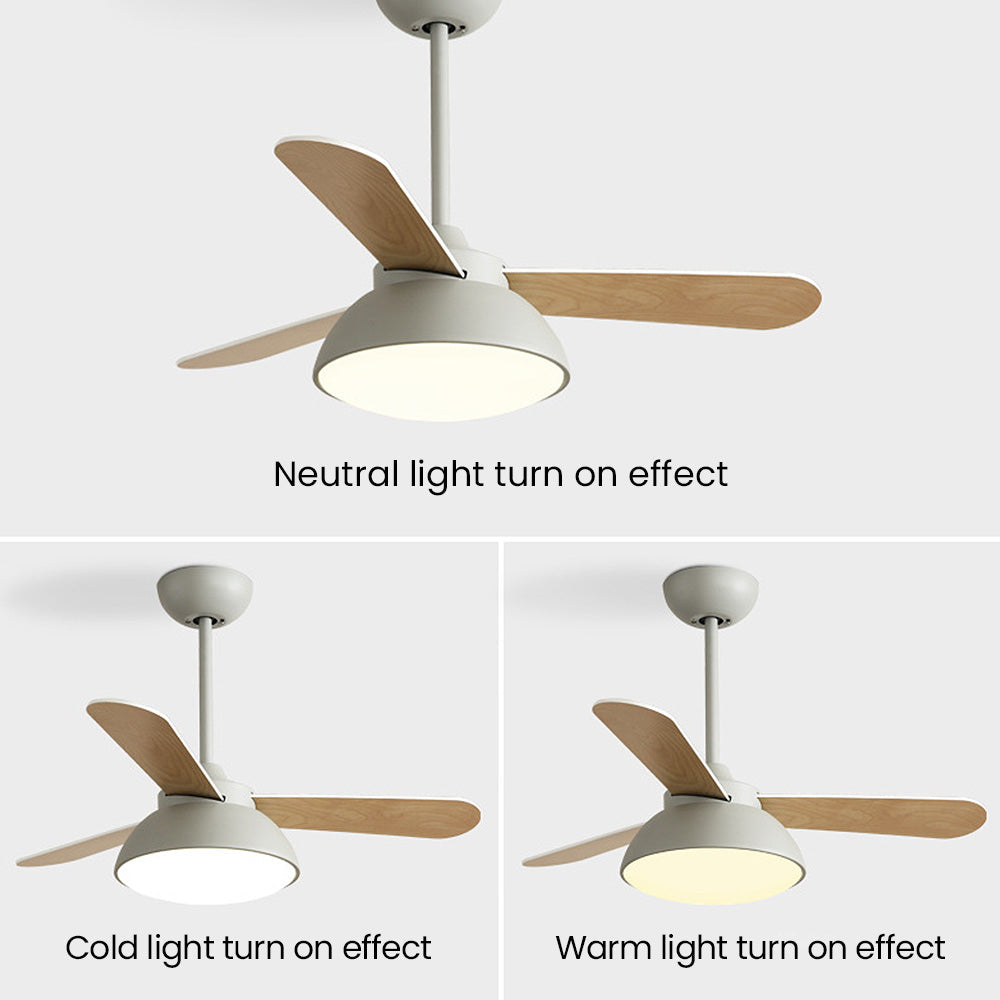 Nordic Modern Simple Flush Ceiling Fan with Integrated LED Lighting for Stylish Home Comfort and Energy Efficiency