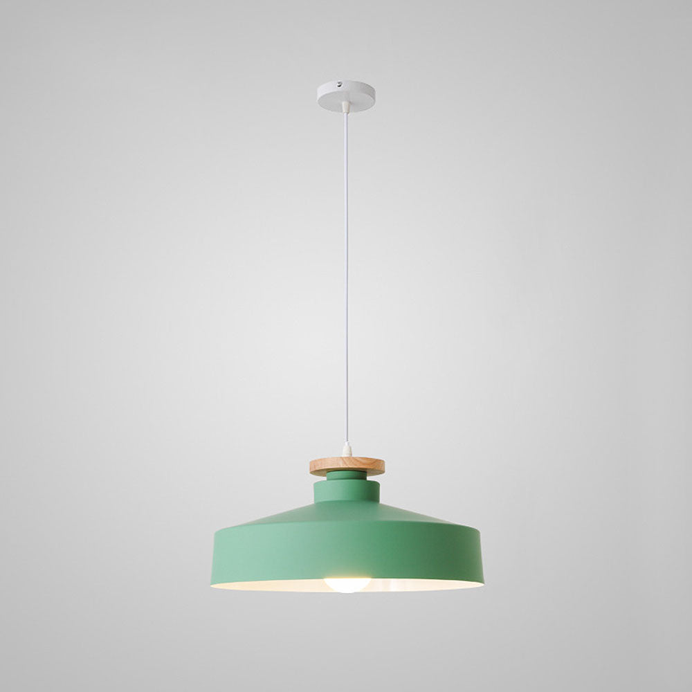 Pendant Light in Colourful Metal Finish