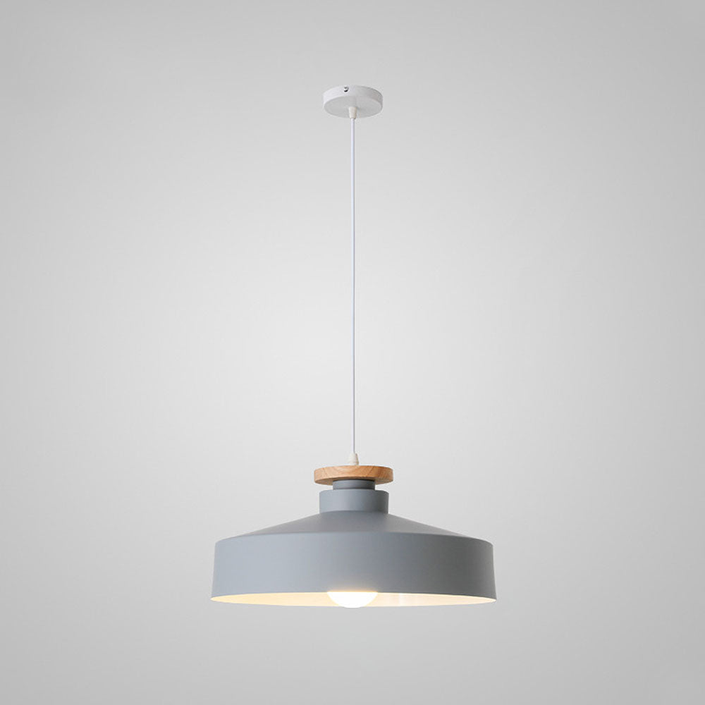 Pendant Light in Colourful Metal Finish