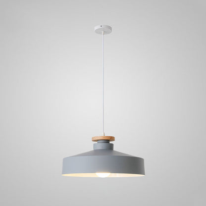 Pendant Light in Colourful Metal Finish