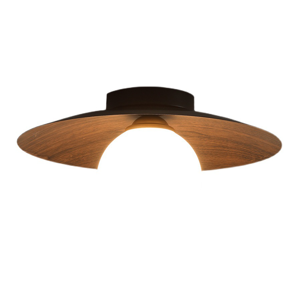 Sleek Modern Minimalist Ceiling Lights for Entrances – Stylish Illumination for Contemporary Hallways and Foyers