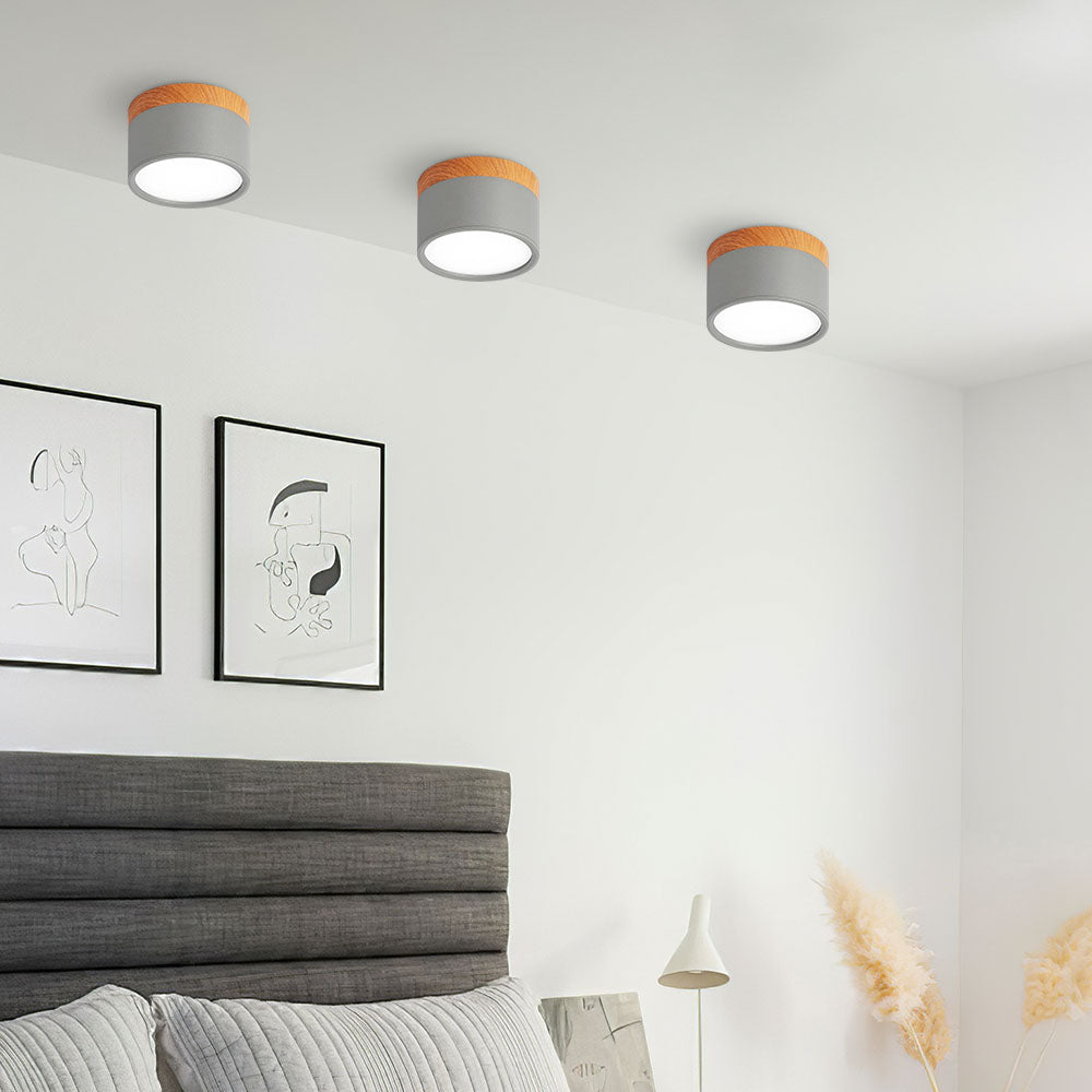 Compact Cylinder Flush Ceiling Lights for Stylish Illumination in Small Spaces – Modern Design and Energy Efficient