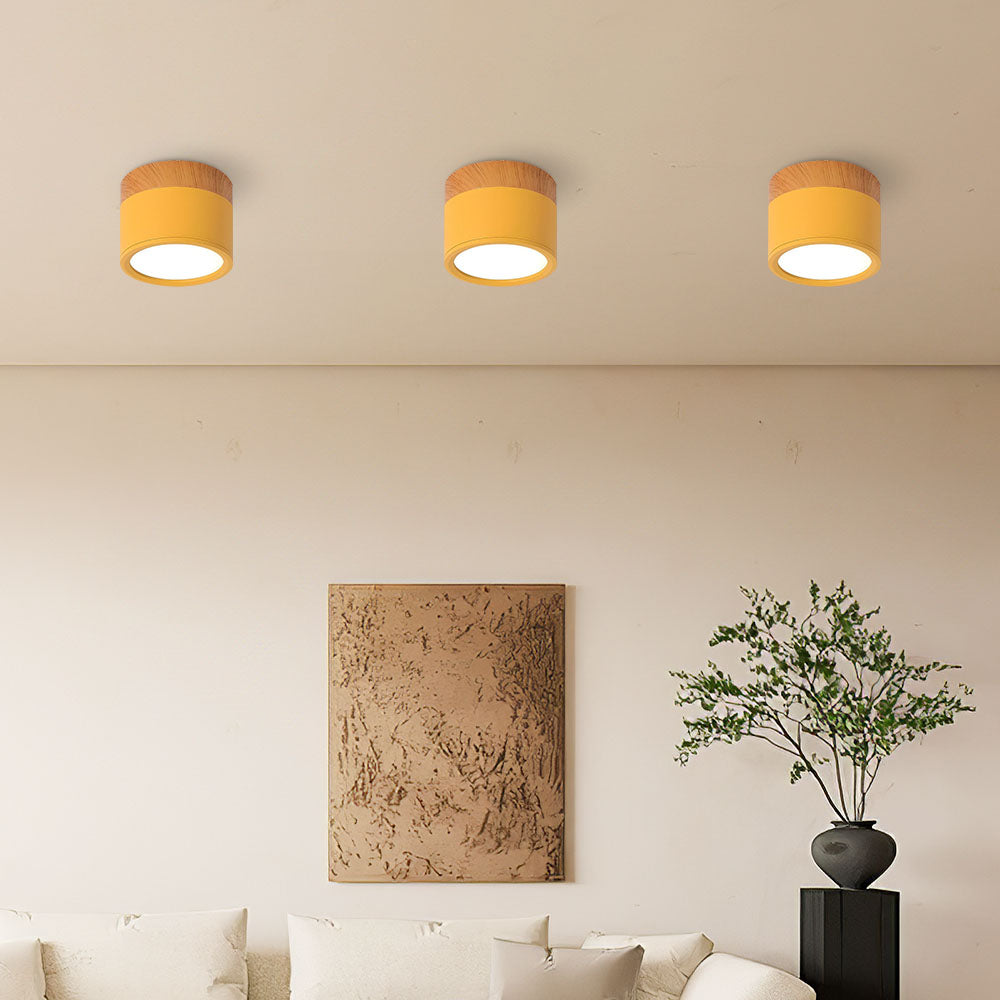 Compact Hallway Flush LED Ceiling Lights for Stylish Illumination in Small Spaces - Energy Efficient and Modern Design