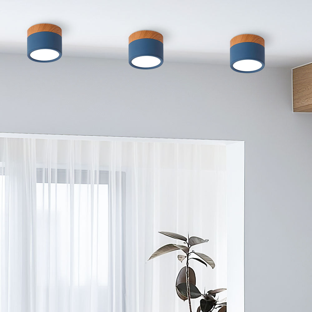 Compact Cylinder Flush Ceiling Lights for Stylish Illumination in Small Spaces – Modern Design and Energy Efficient