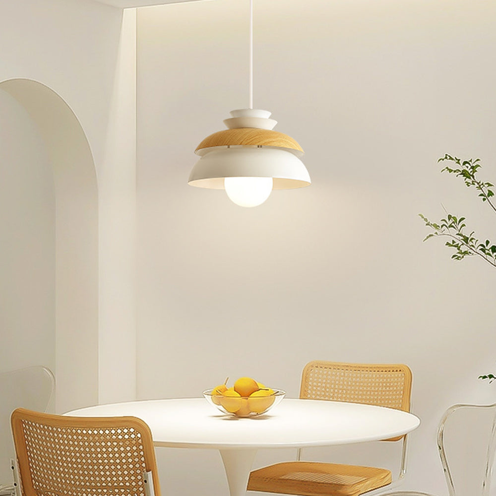 Contemporary Dome-Shaped Metal Pendant Light Fixture for Stylish Home Illumination and Modern Interior Decor