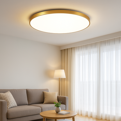 Flush Mount LED Ceiling Light Modern Round