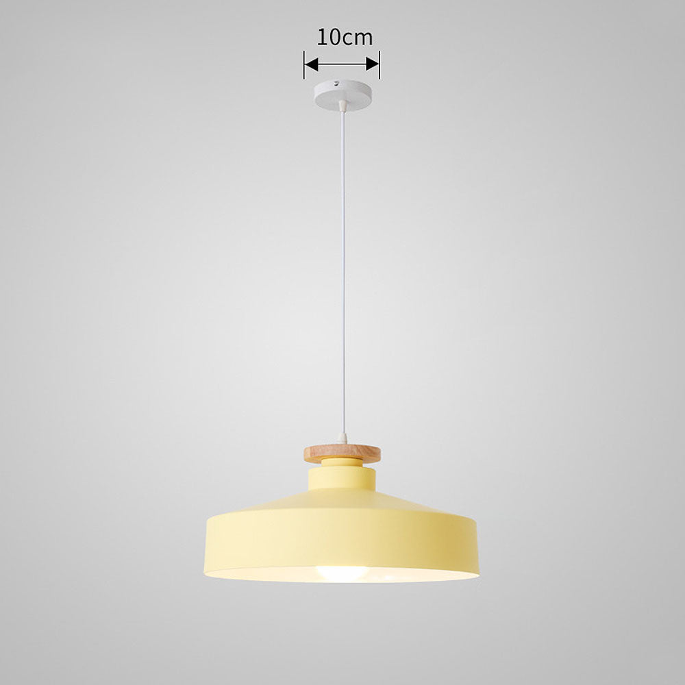 Pendant Light in Colourful Metal Finish