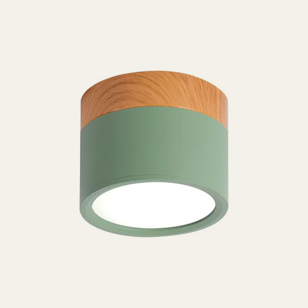 LED Ceiling Light Modern Flush Mount Cylinder