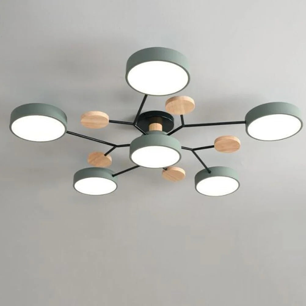 Ceiling Light Modern LED Flush Mount Chandelier