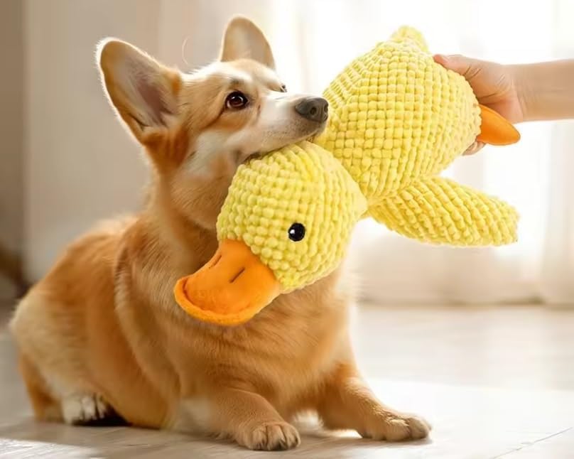 Jouet pour chien en peluche canard stimulation mentale