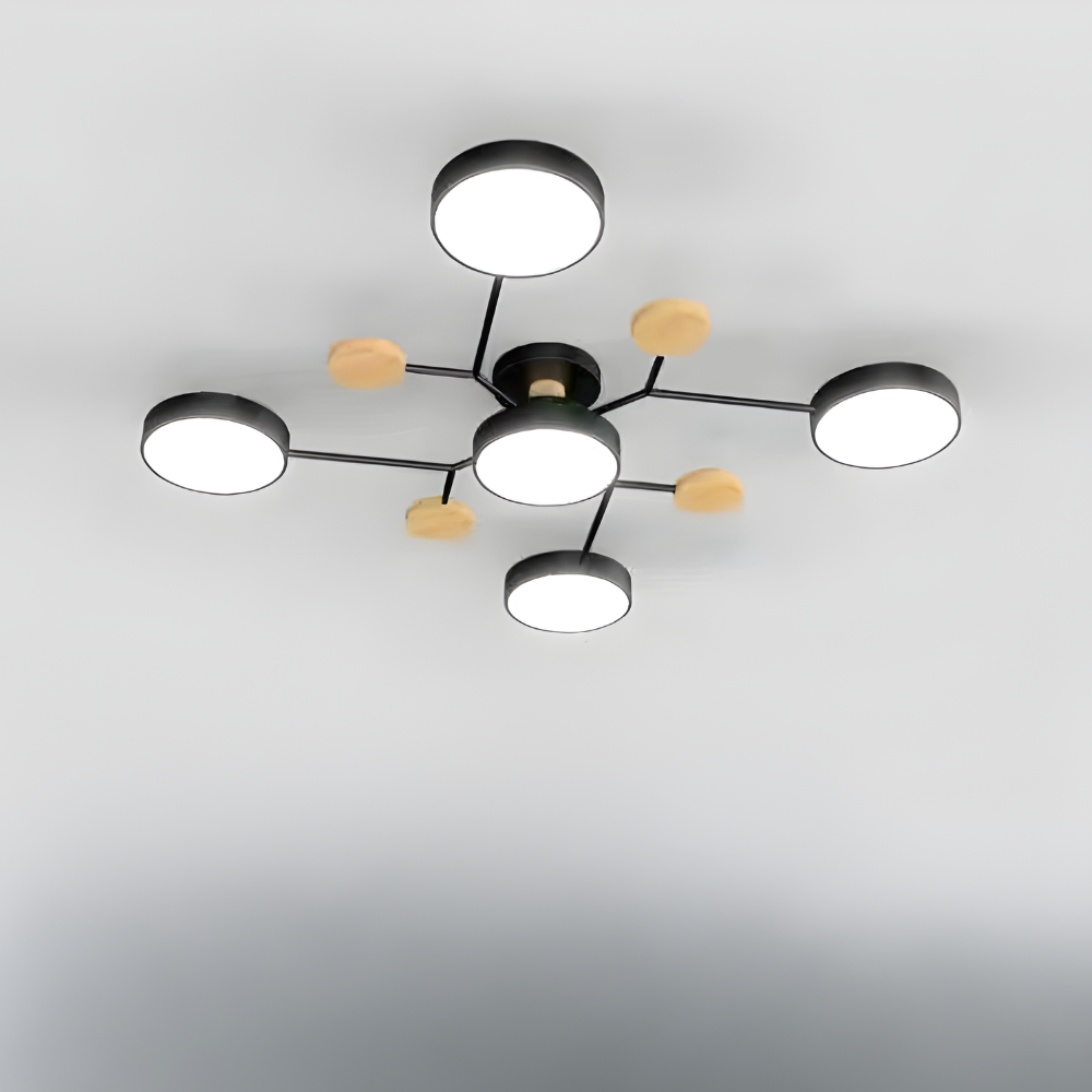 Ceiling Light Modern LED Flush Mount Chandelier