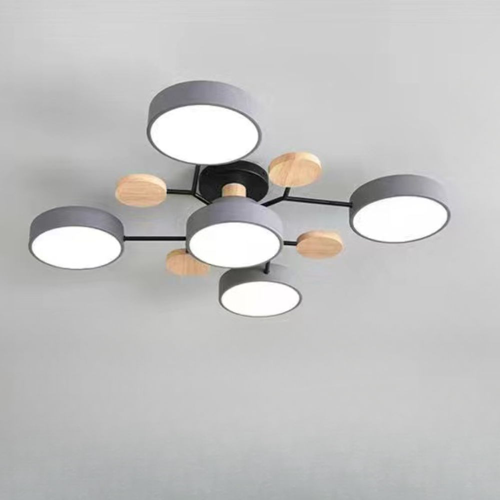 Ceiling Light Modern LED Flush Mount Chandelier