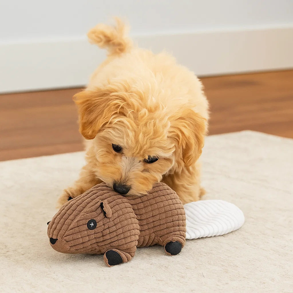 Giocattolo per cane in peluche con squeaky da masticare animale
